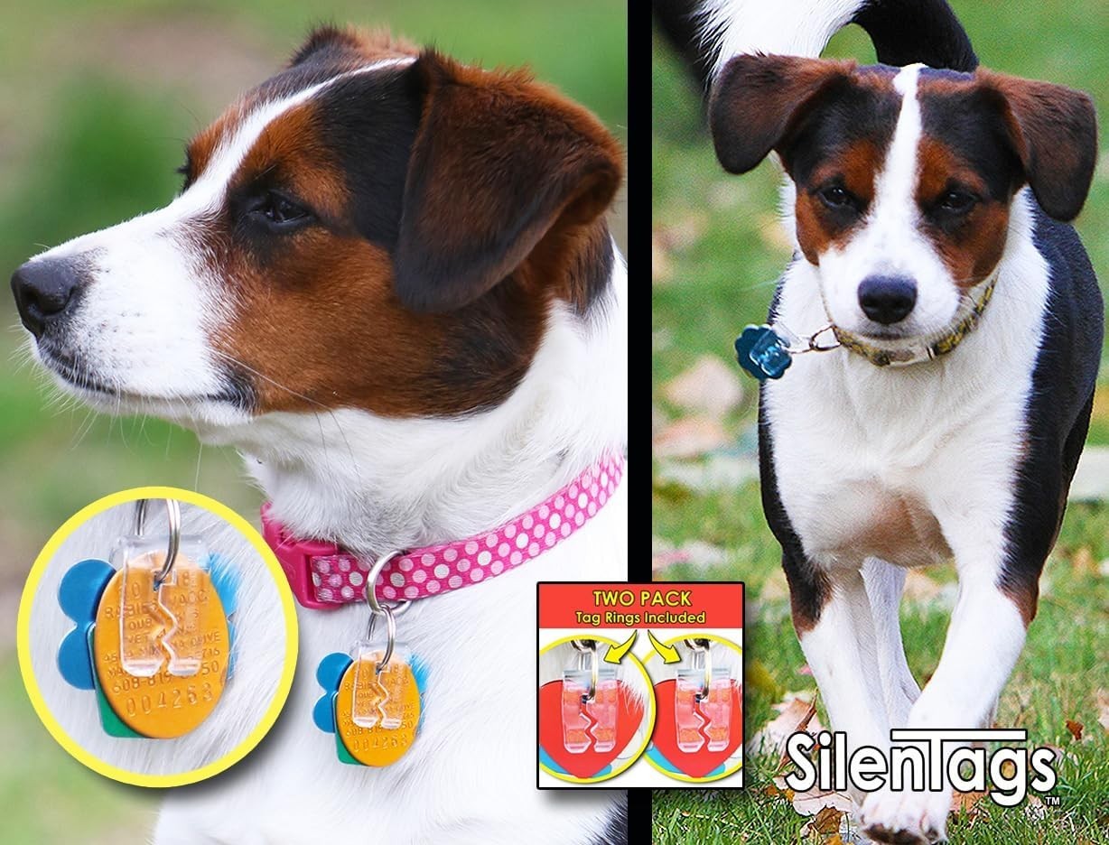Pet Tag Silencer Clear Two Pack