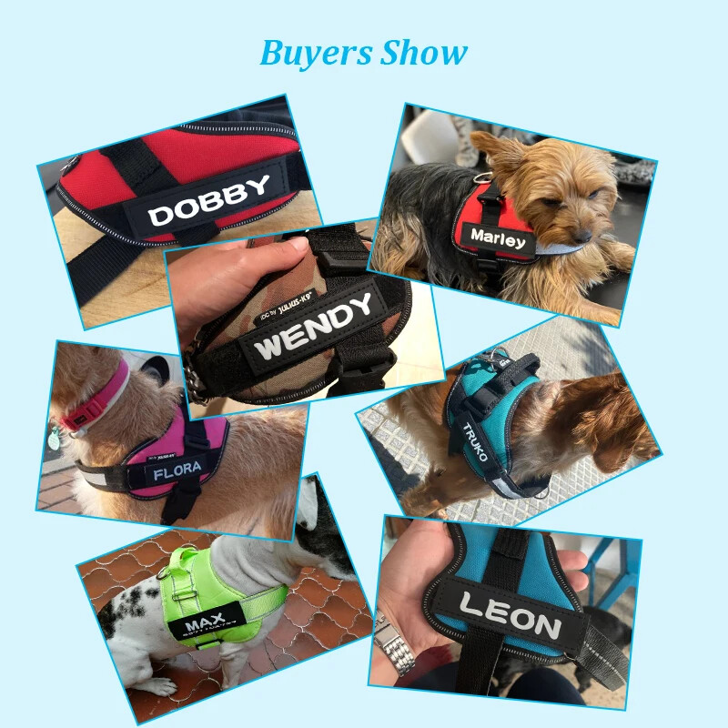 2PCS PU Personalized Dog Name Patches ID Tag For JULUS Pet Harness Label Sticker