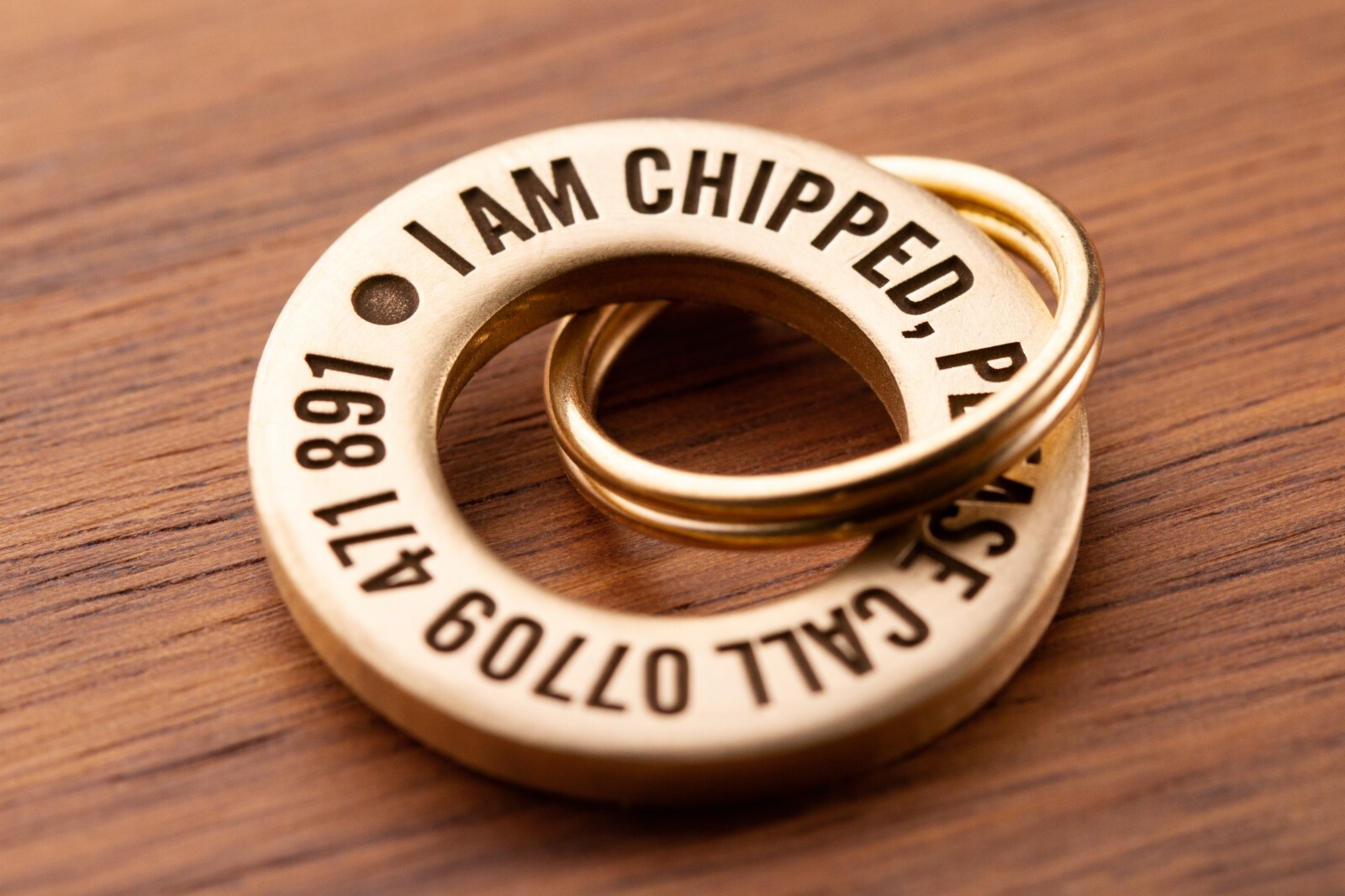 24mm Solid Brass or Stainless Steel Dog / Pet ID Tag