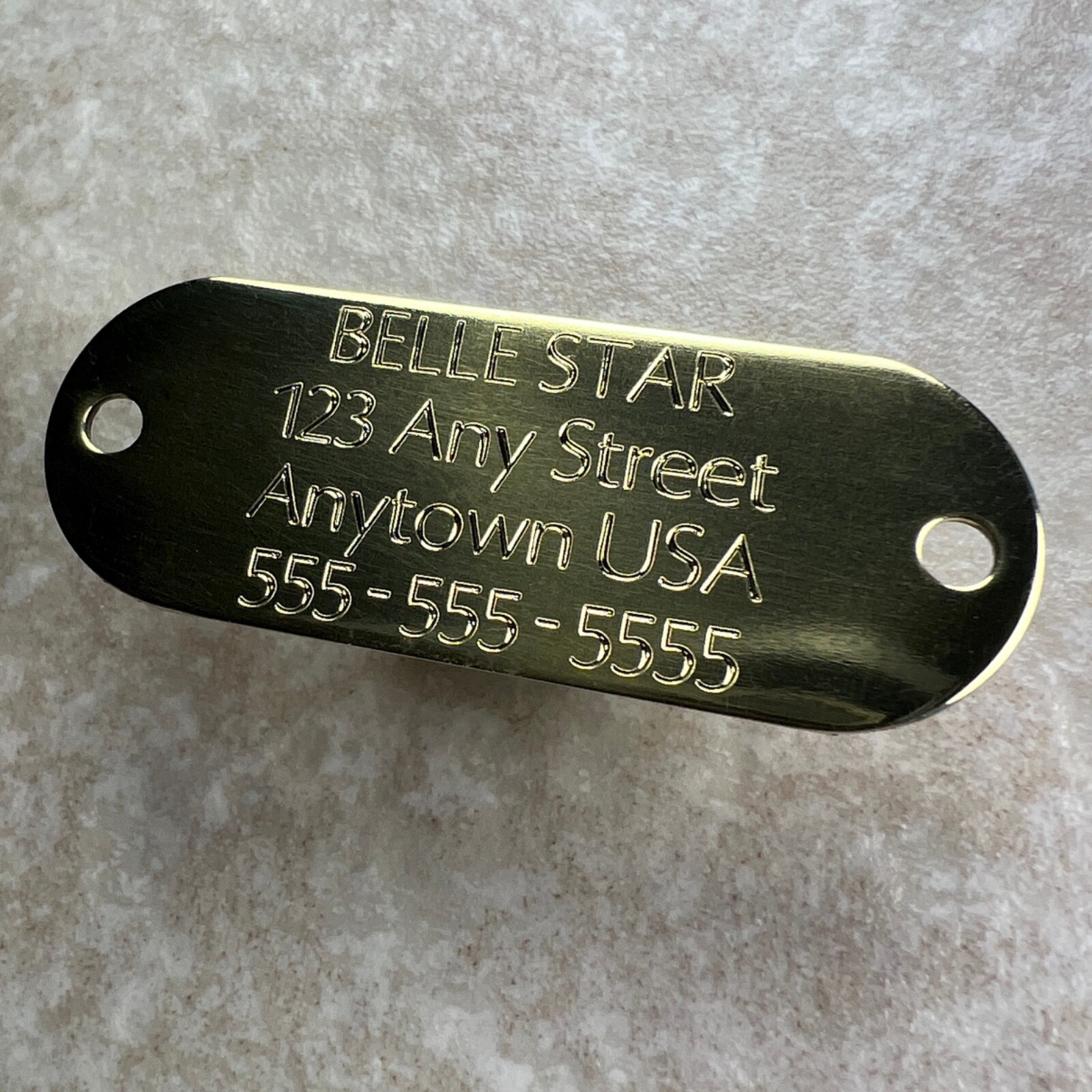 Custom Engraved Dog Tags Personalized Dog Collar ID Tags NAME PLATE BRASS MEDIUM