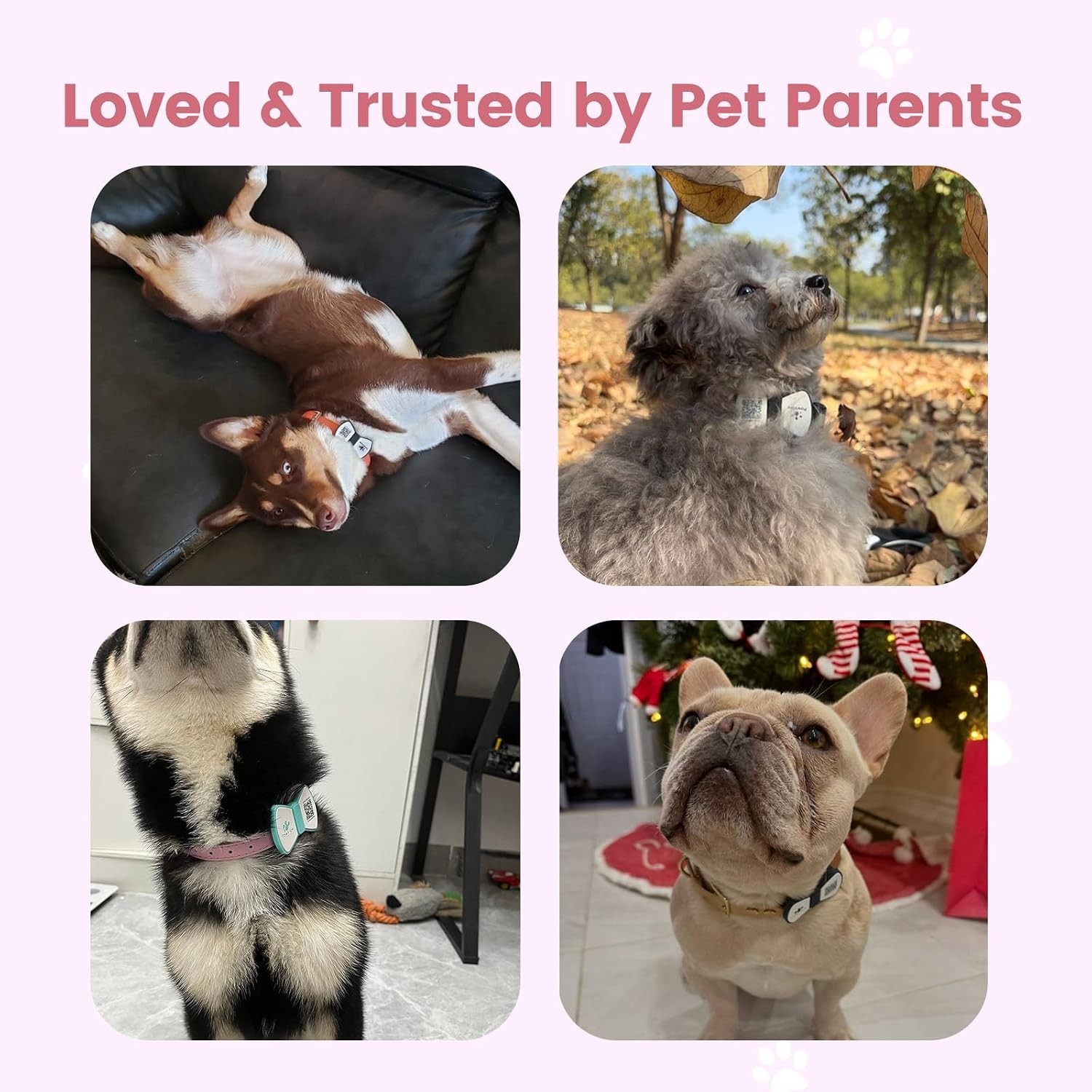 Smart Pet ID Tag, QR Code Dog Tag, No Subscription Fee, Waterproof Silent Sil…