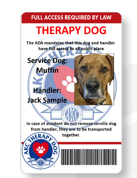 THERAPY DOG handler ID card printed in vivid full color mailed out same day