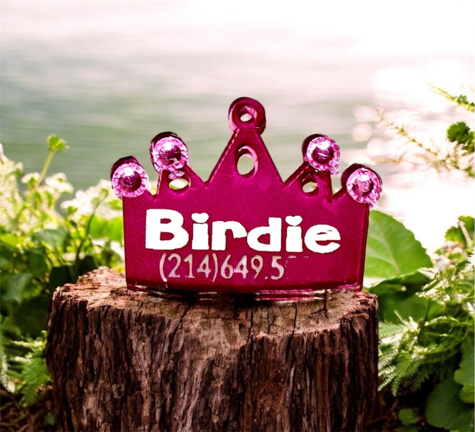 Large DOG NAME TAGS ENGRAVED PET ID CUSTOMER COLLAR TAG BONE HEART CROWN P CUTE
