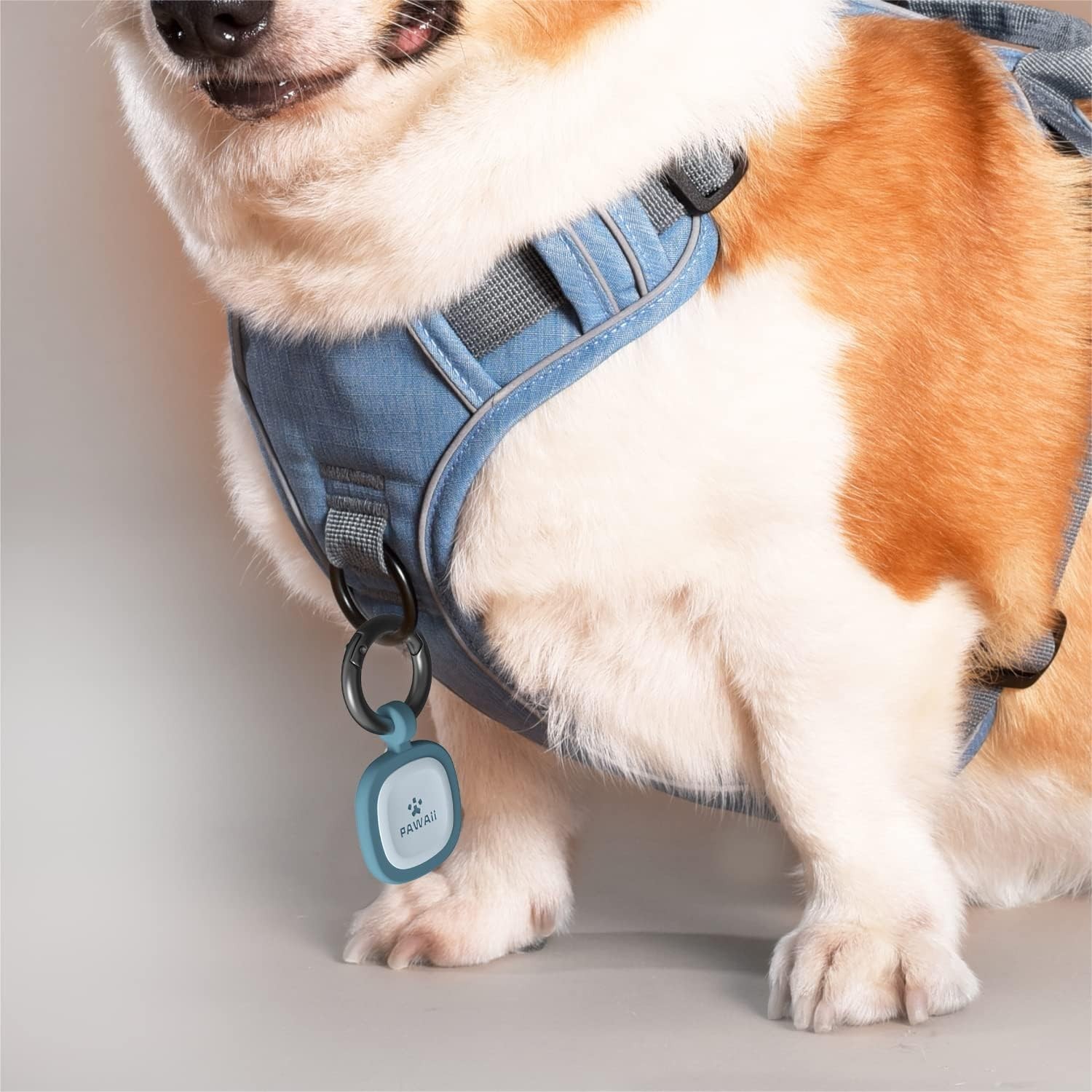 Customizable Silicone Dog and Cat ID Tag with Emergency Location Alert QR Code
