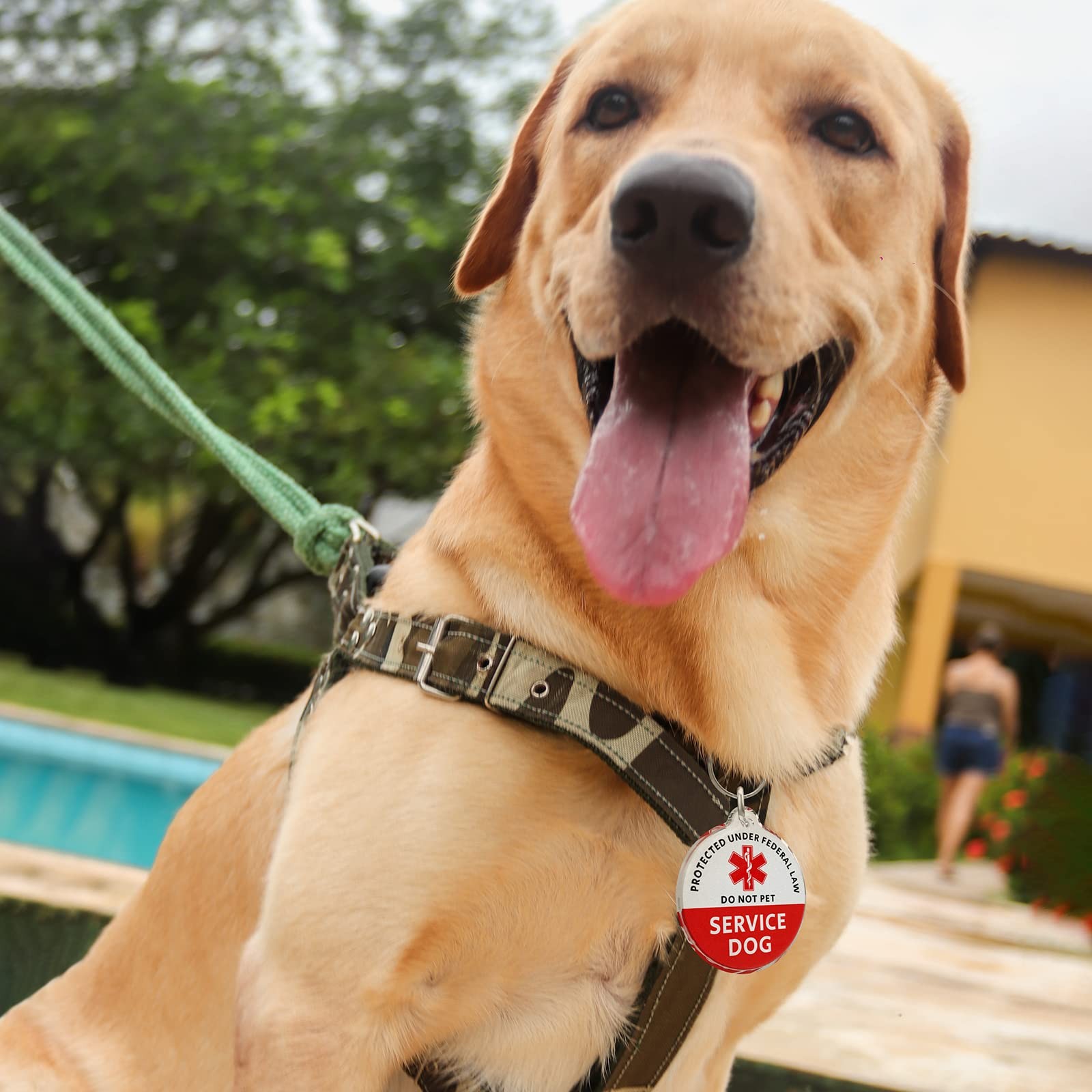Service Animal ID Tag QR Code Online Profile Location Alert Dog Cat Collar