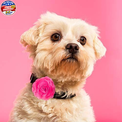 8 Pcs Dog Flowers Collar Charms Flowers for Dog Collar 3.15 Inches Cat Pet Bow T