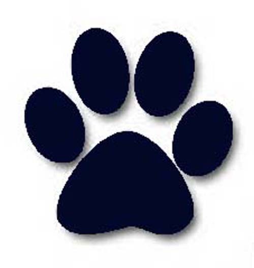 Paw Print Pet ID Tag Custom Diamond Engraved Dog Tag Cat Aluminum