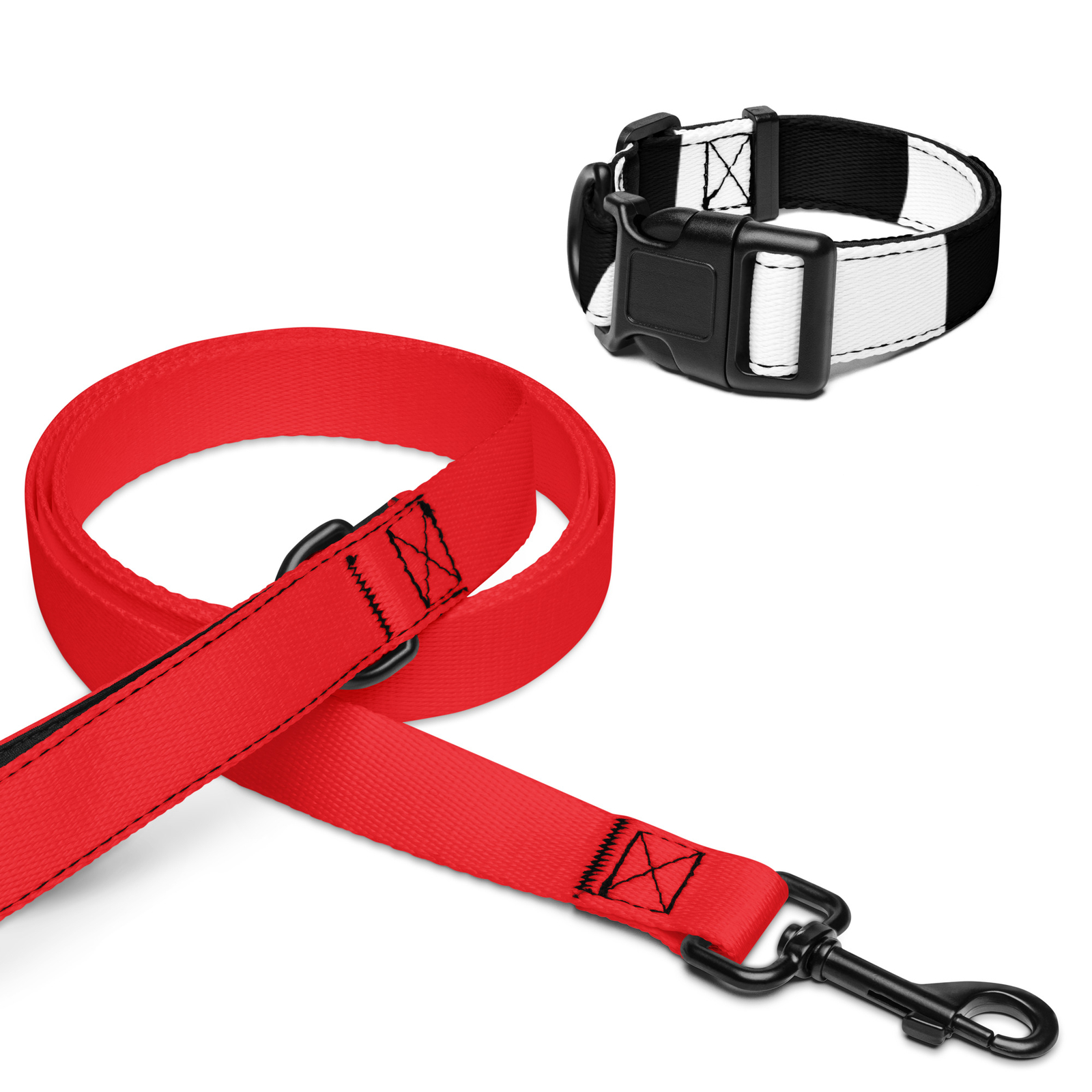 Pet collar & leash