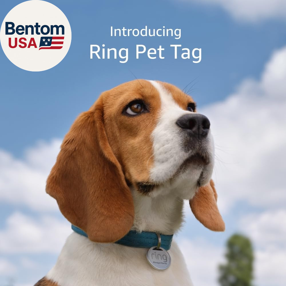 Pet Tag | Easy-To-Use Tag with QR Code | Real-Time Scan Alerts | Shareable Pet P