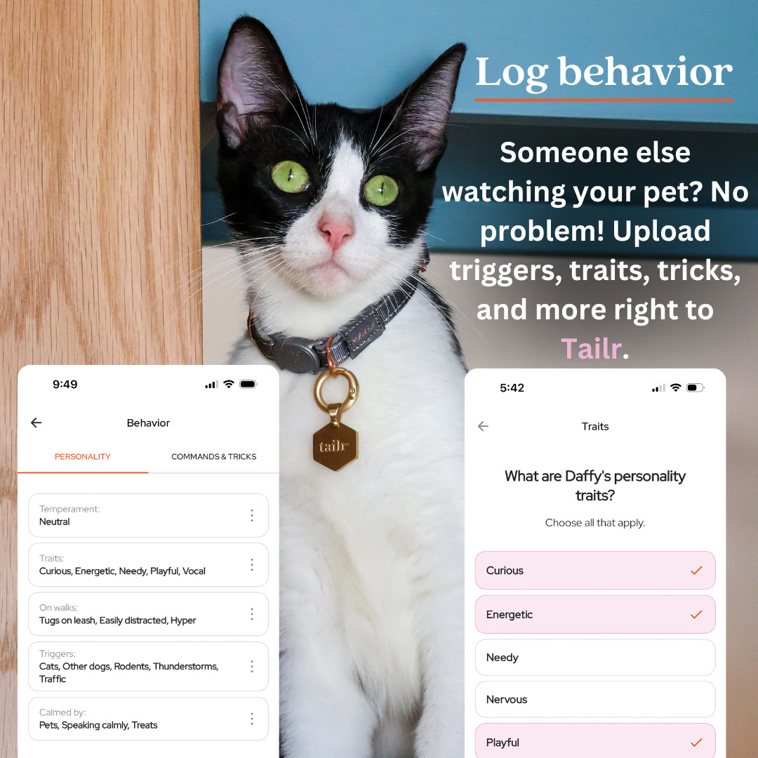 Tailr Slide On QR Code Dog Tag Silent Pet ID Tag with App No Jingle All Sizes