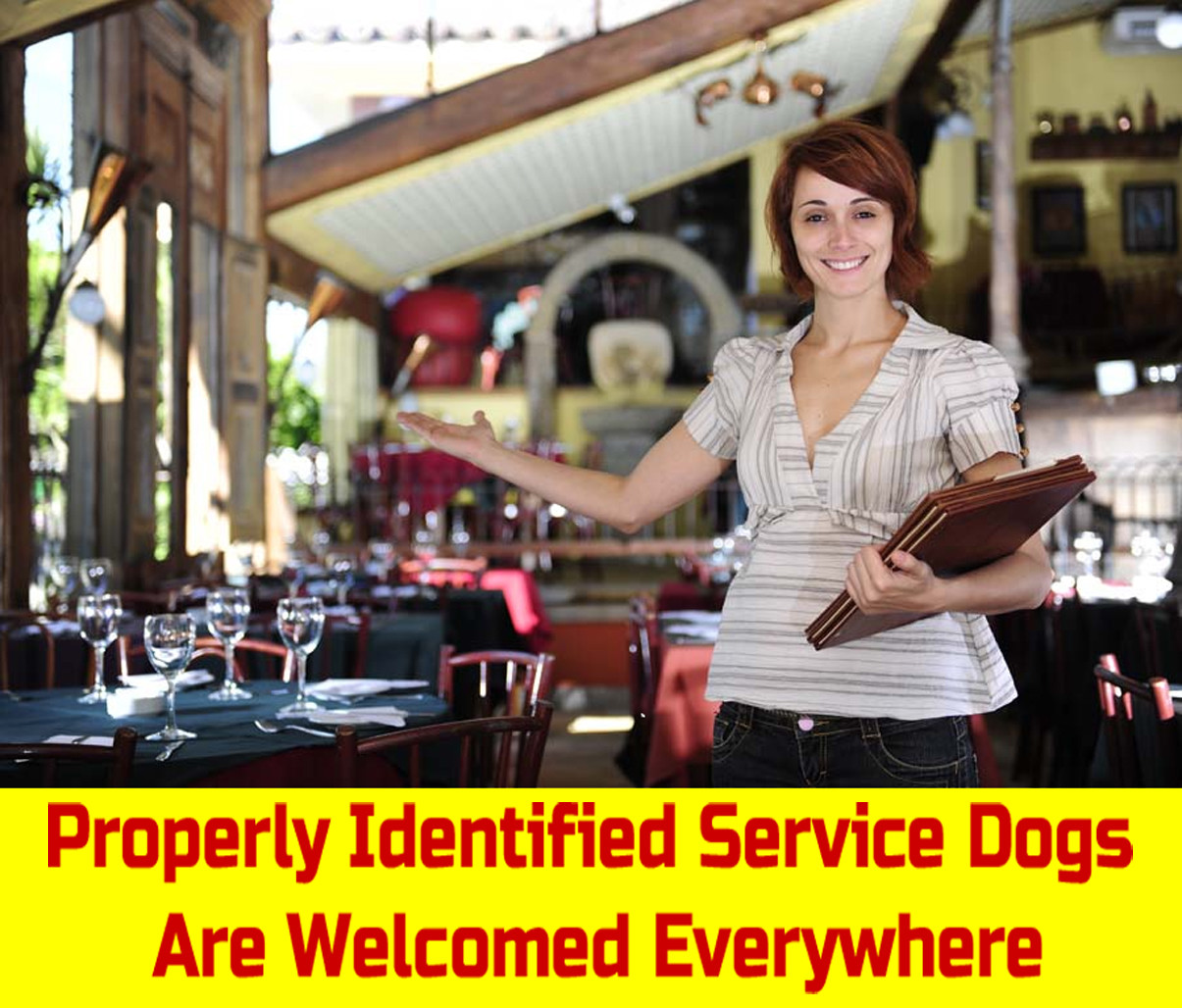 Service Dog ID Information Card – Free Registration to U S Service Dogs Registry