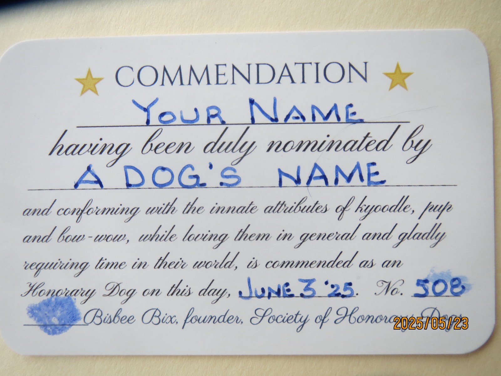 LOVE DOGS MORE THAN PEOPLE? Be an Honorary Dog. DOG-LOVER PIN w/ 6 FREE GIFTS