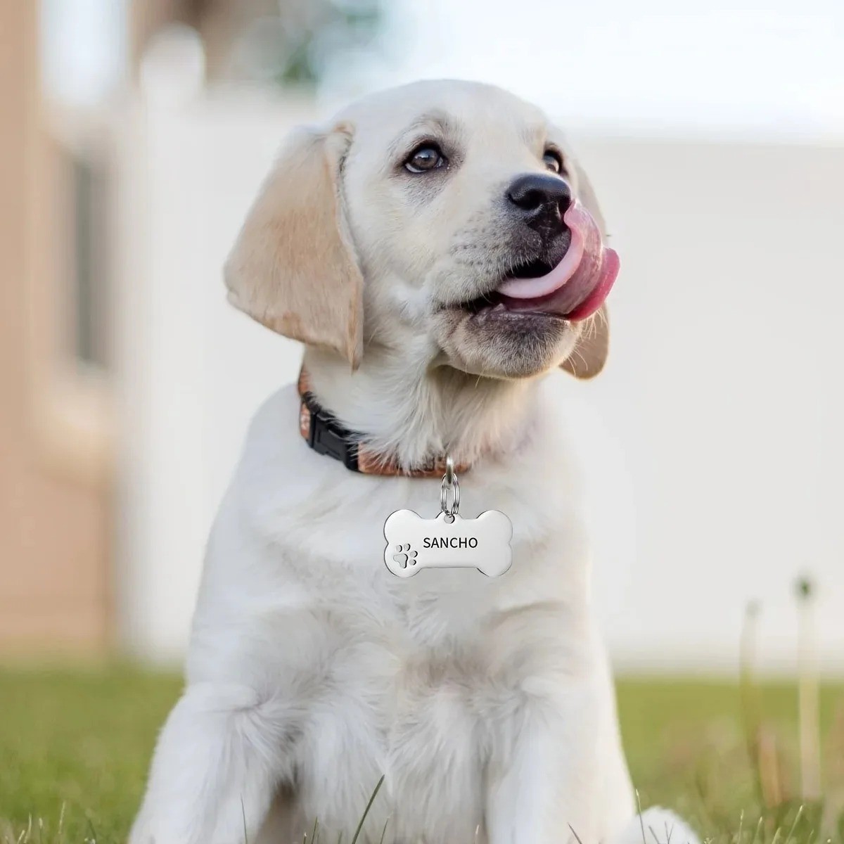 Personalized Engraved High Quality Dog Cat Tags with Name and Phone Number Bone