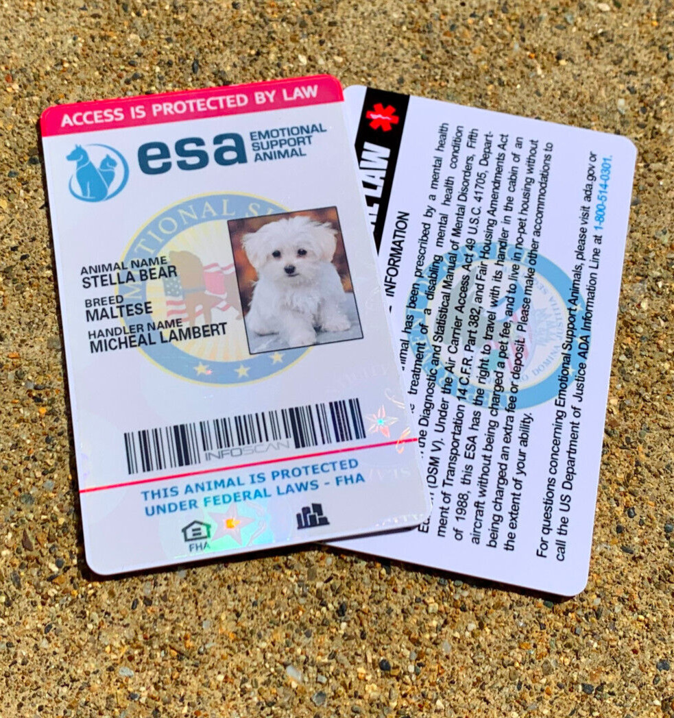 ESA ID CARD FOR EMOTIONAL SUPPORT DOG / CAT ANIMAL / SERVICE DOG – HOLOGRAPHIC
