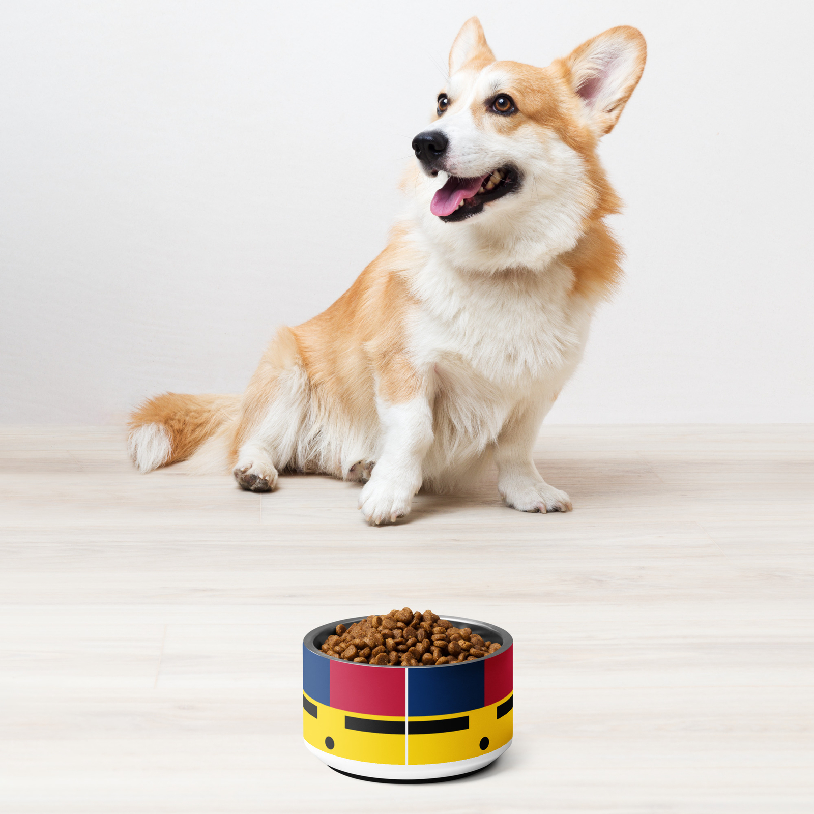 Zuni Flag Pet Bowl