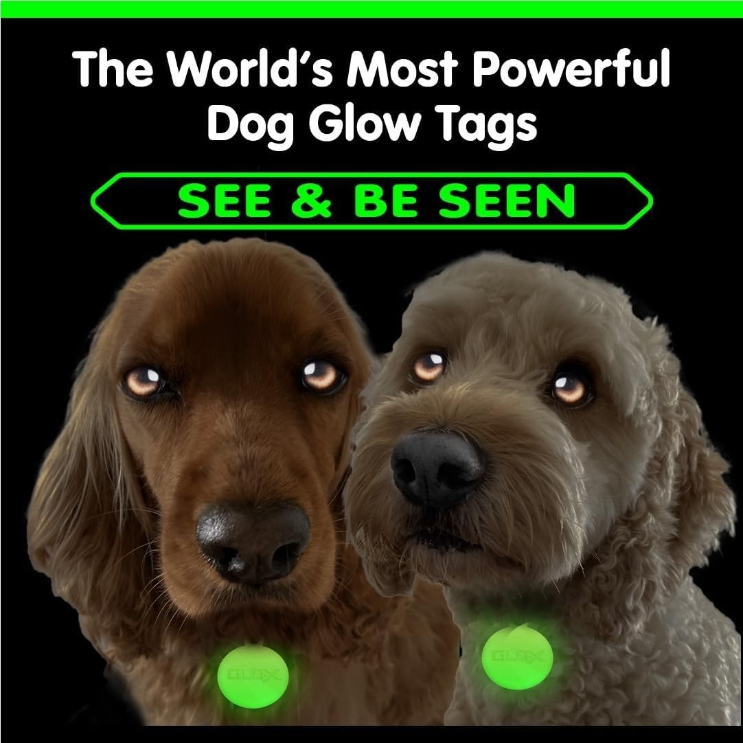 Glow in Dark Dog Collar Tags Pet Safety Night Visible 12H Glow Tags
