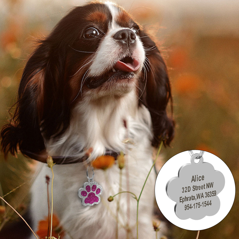 Personalized Dog Tags Engraved Puppy Pet ID Name Collar Tag Bling Paw Glitter