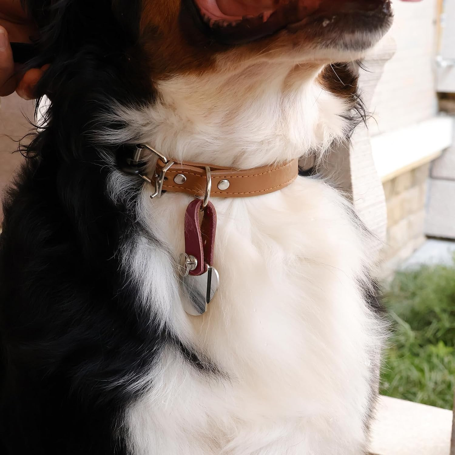 Pet ID Tag Silencer Dog & Cat Collar Leather Connector | Holder Up to 4 Dog …