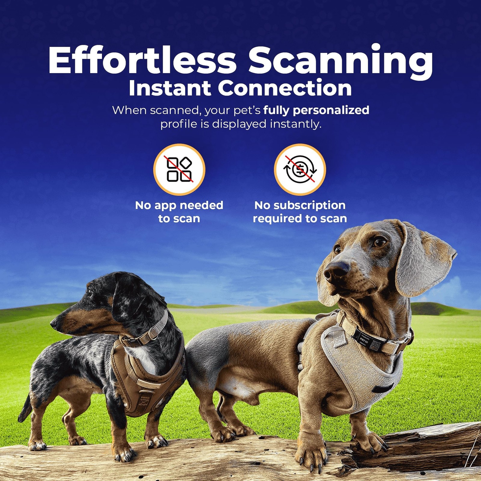 HeyBuddy Slide Series QR Code Smart Pet Tag Stainless Steel Blue