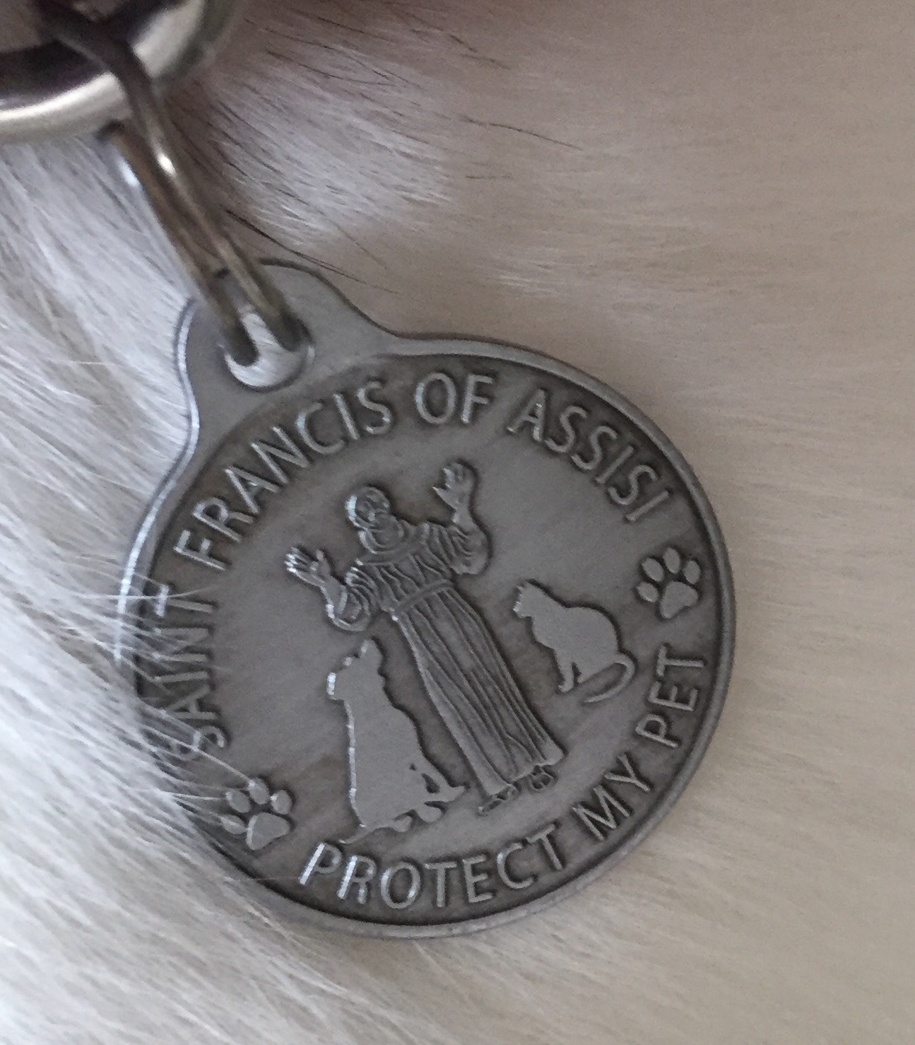 Saint Francis Protect My Pet Patron Saint Of Pets Dog Tag 1″ Charm Pewter Color