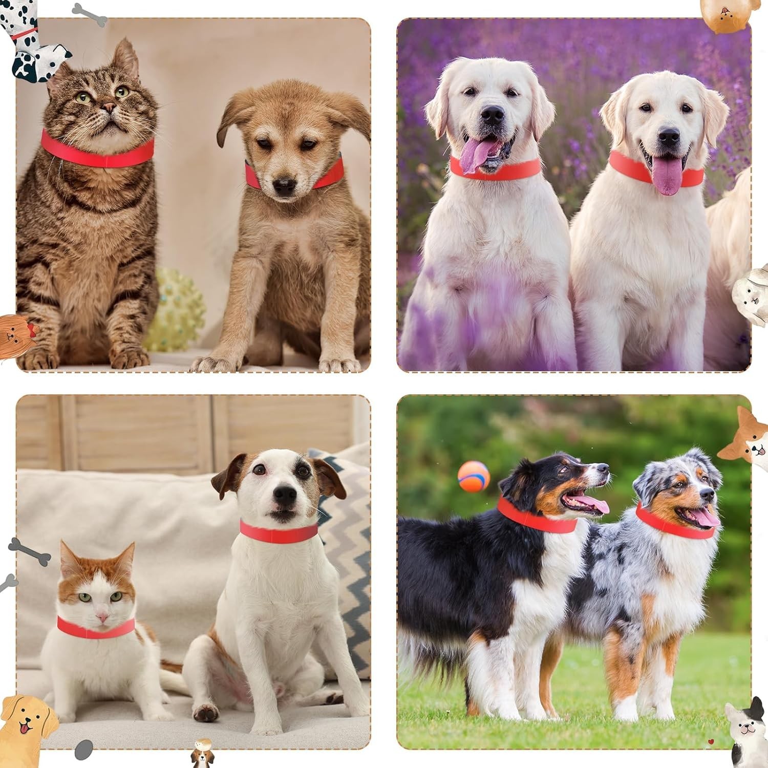 500 Count 20inch Adjustable Paper Dog Collars with Tear Resistant Waterproof …