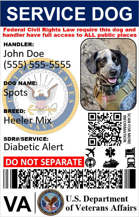 HOLOGRAPHIC MILITARY VETERAN SERVICE DOG ID CARD PHYSICAL & DIGITAL CARD
