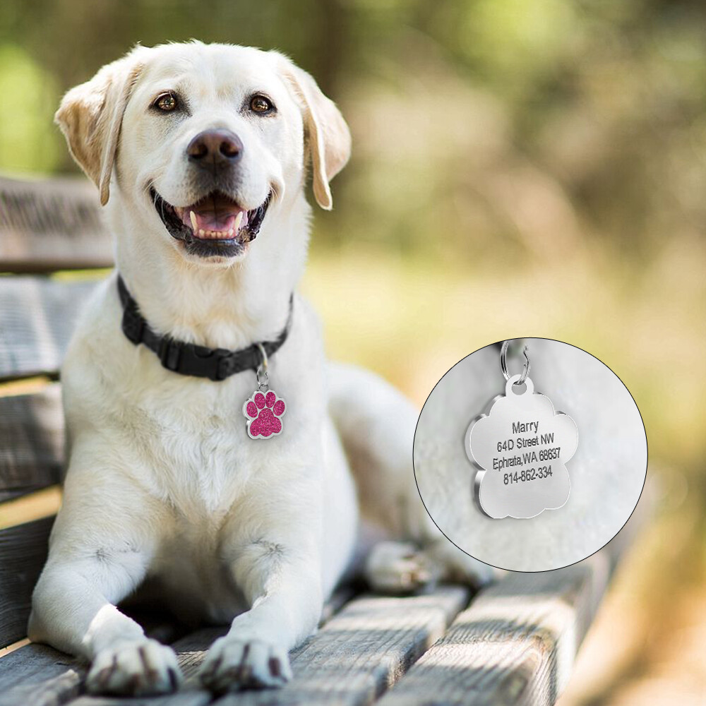 Glitter Paw Personalized ID Tags Engraved Pet Dog Cat Name Disc Collar Hair Bows