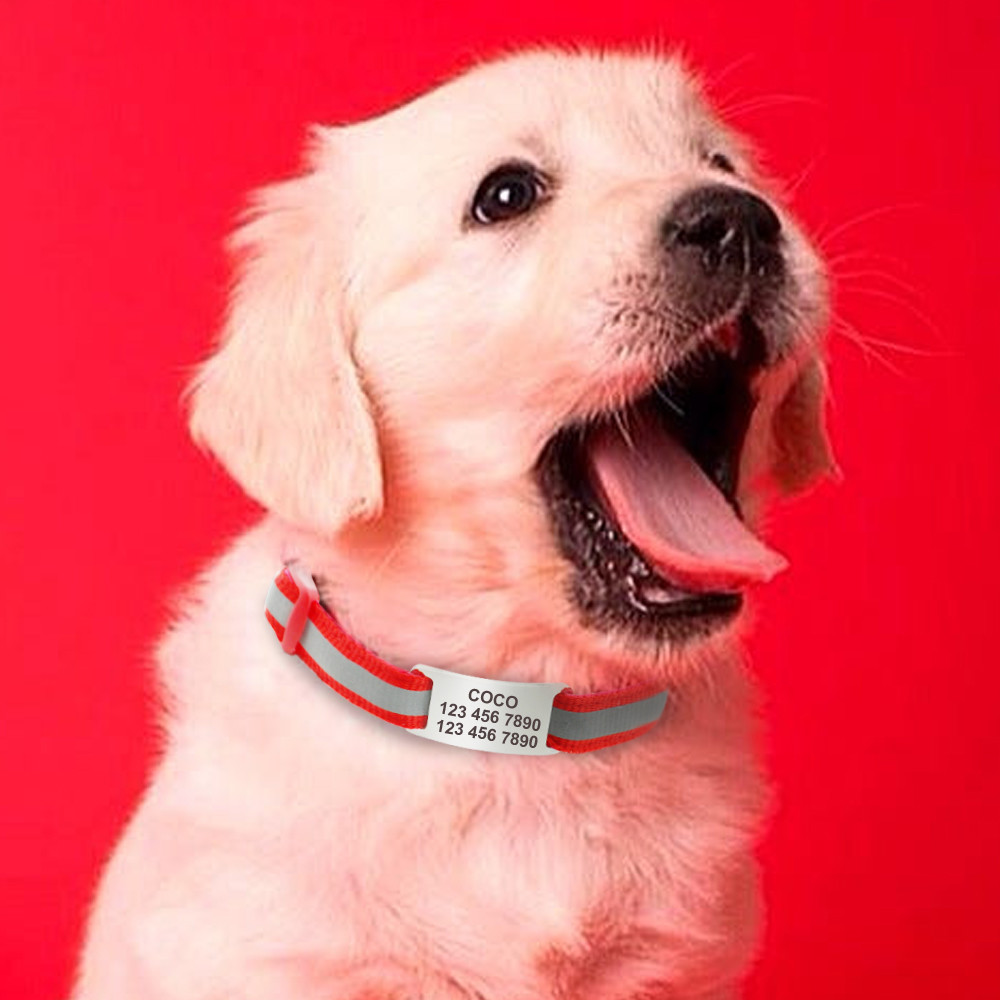 Slide On Custom Engraved Dog Tag Noiseless Dog ID IDENTIFICATION Cat Name Tags