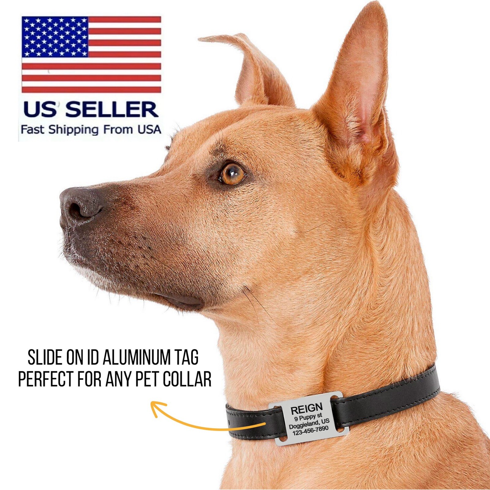 Personalized slide on pet dog tags ID engraved name aluminum puppy cat collar