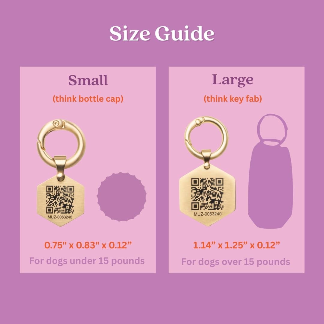 Hanging QR Code Pet ID Tag Large Gold Dog Cat Custom Profile Smart Tracker