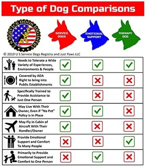 PVC PTSD Service Dogs Key or Collar Tag for ADA PTSD Service Animals PT21