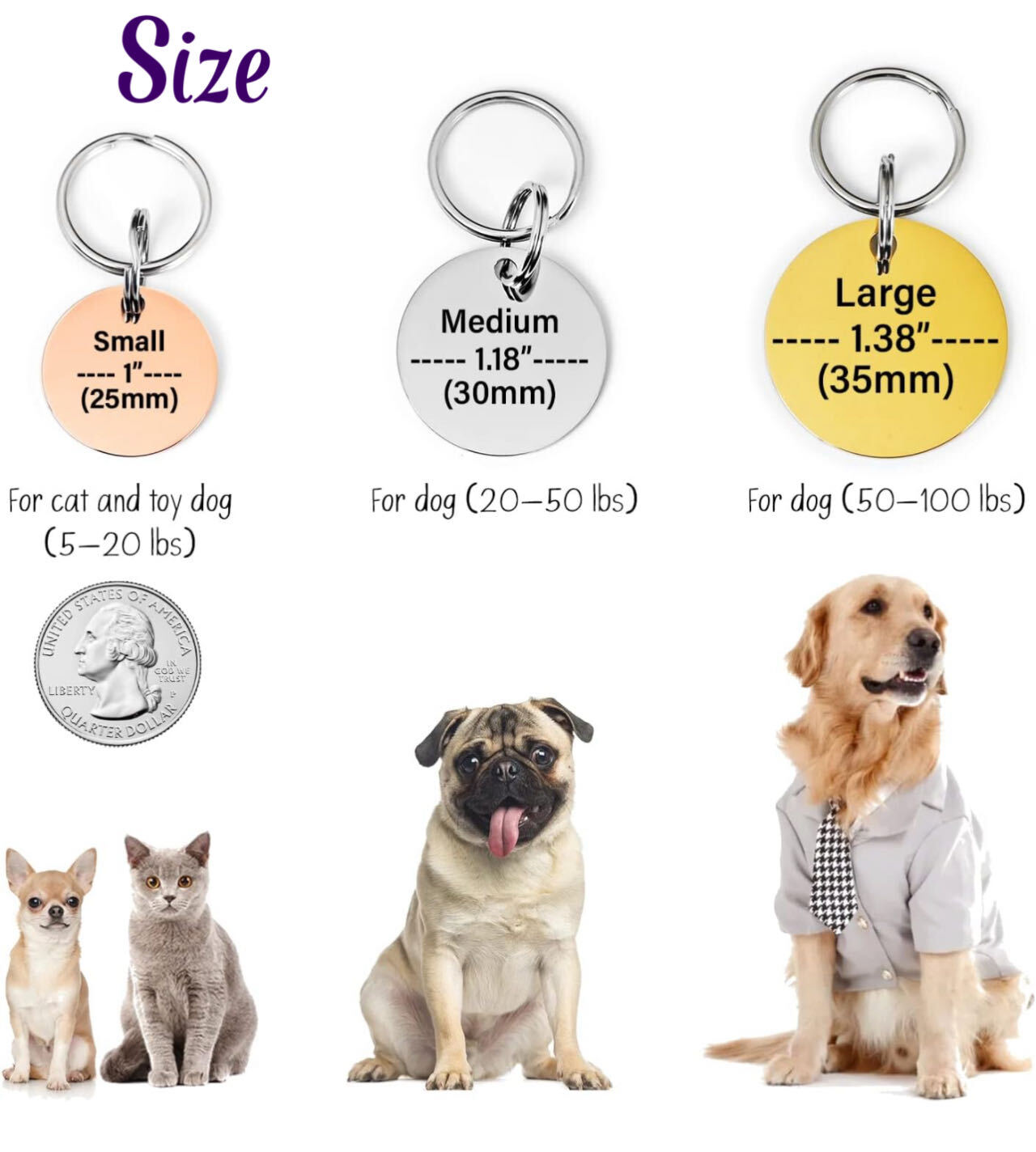 Pawtographize Dogs Cats ID Tags Stainless Steel Personalized Pet ID Tags Circle