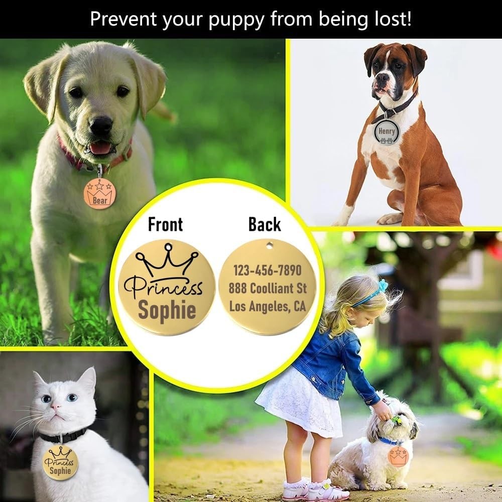 Princess Laser Engraved Pet Name Tags Personalized on Both Sides for Pet Collar