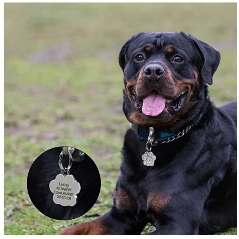 Personalized Pet ID Tag, Dog Tag, Cat Tag, Custom Cat Tag, Easy to Read, Pet Tag