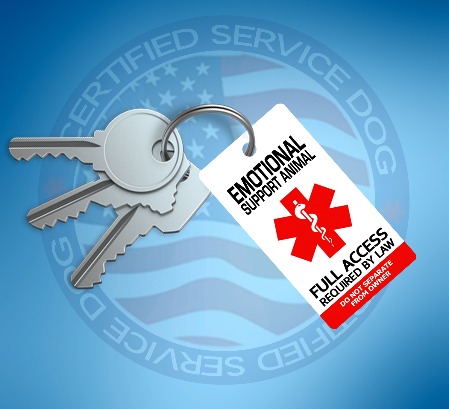 2x Emotional Support Animal ID Tags – 1 Low Price – USA Shipped!