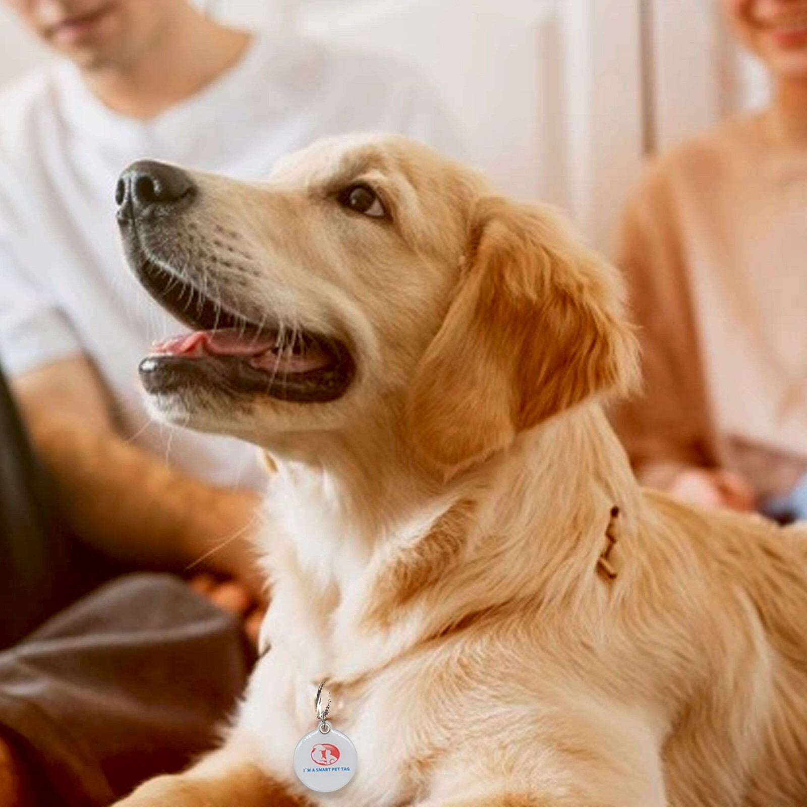 RexID Round Dog Tag QR Code Pet ID Tags Smart Permanent ID Tag