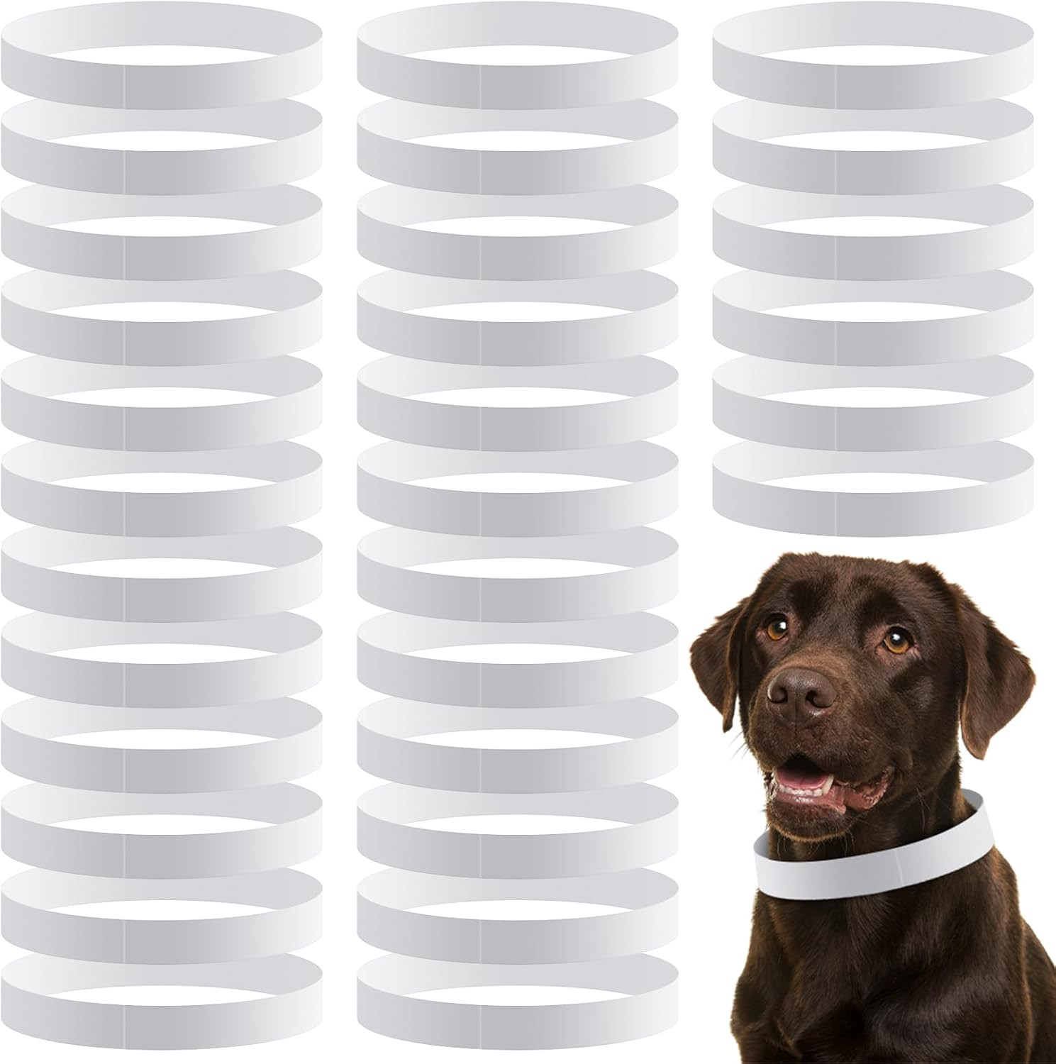 500 Count 20inch Adjustable Paper Dog Collars with Tear Resistant Waterproof Whe