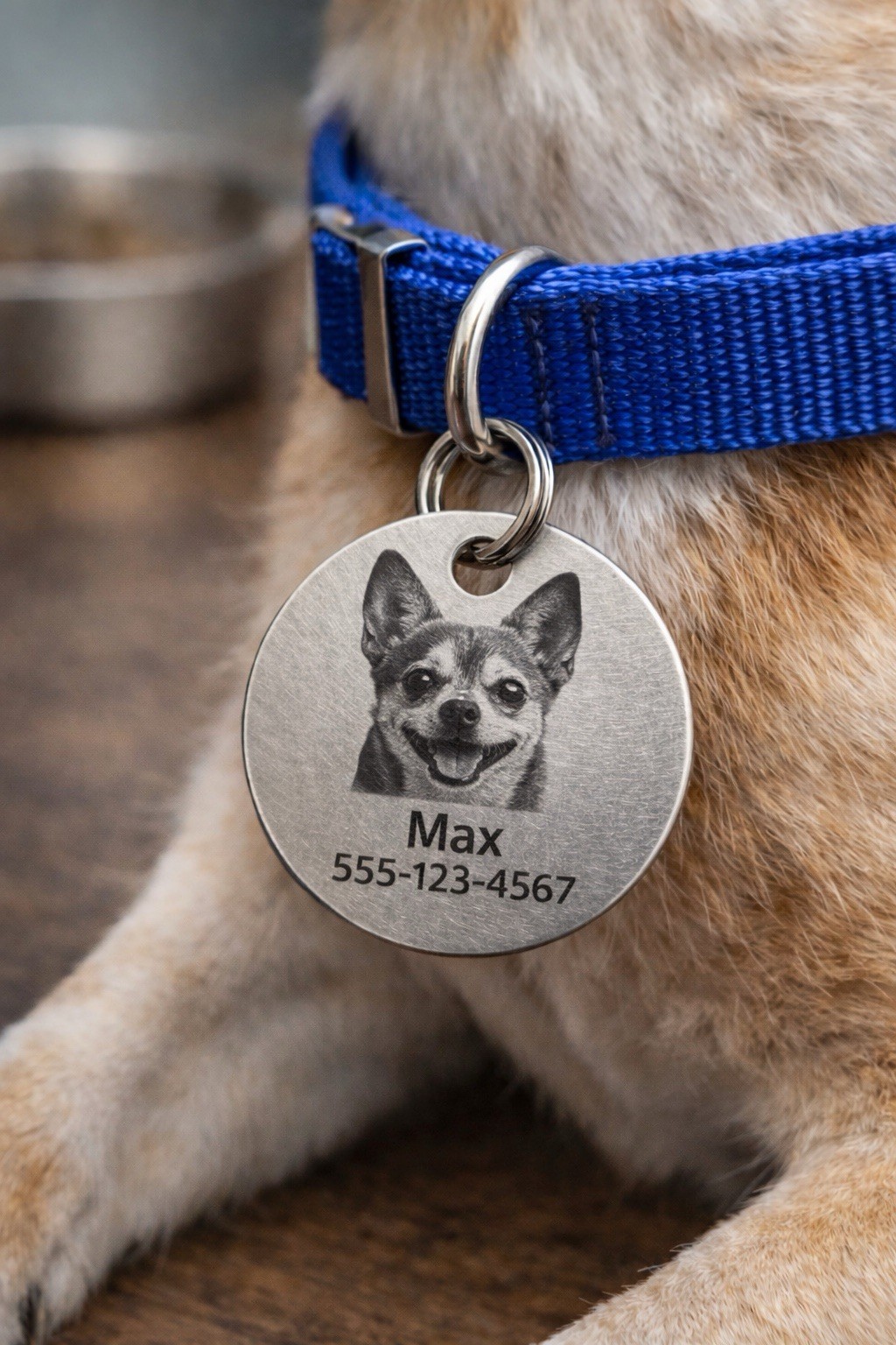 Personalized Dog Tag with Photo Engraving Custom Pet ID Necklace Stainless Steel