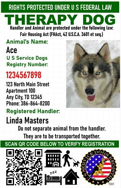 Holographic Therapy Dog ID w/QR Code & ID Holder Plus Digital Copy-Portrait