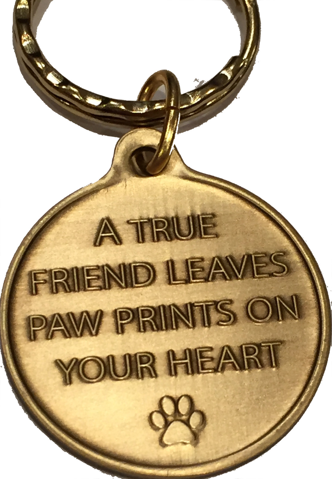 Cat Mom – A True Friend Pet Keychain RecoveryChip Design