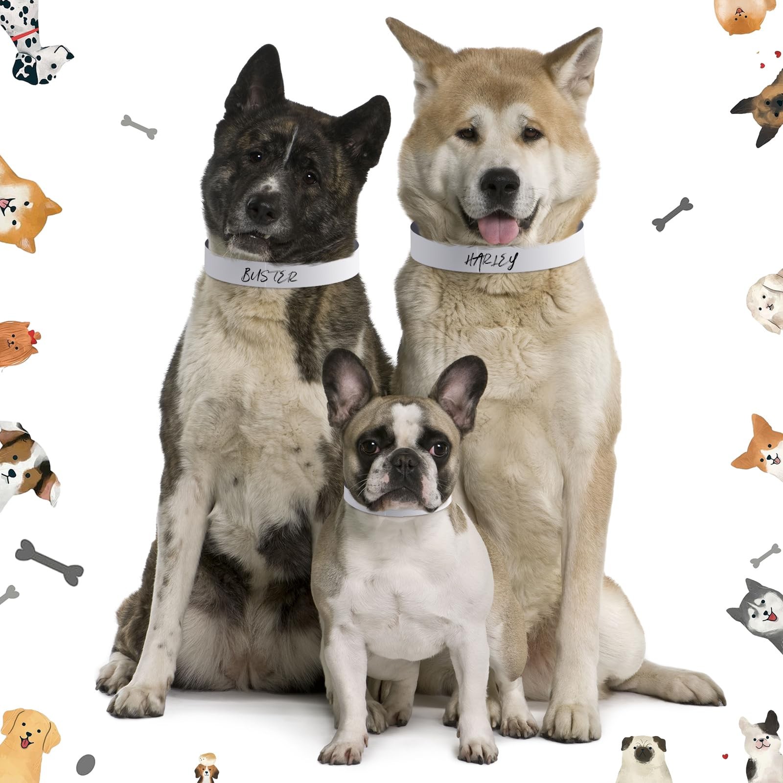 Clysee 500 Count 20inch Adjustable Paper Dog Collars with Tear Resistant Wate…