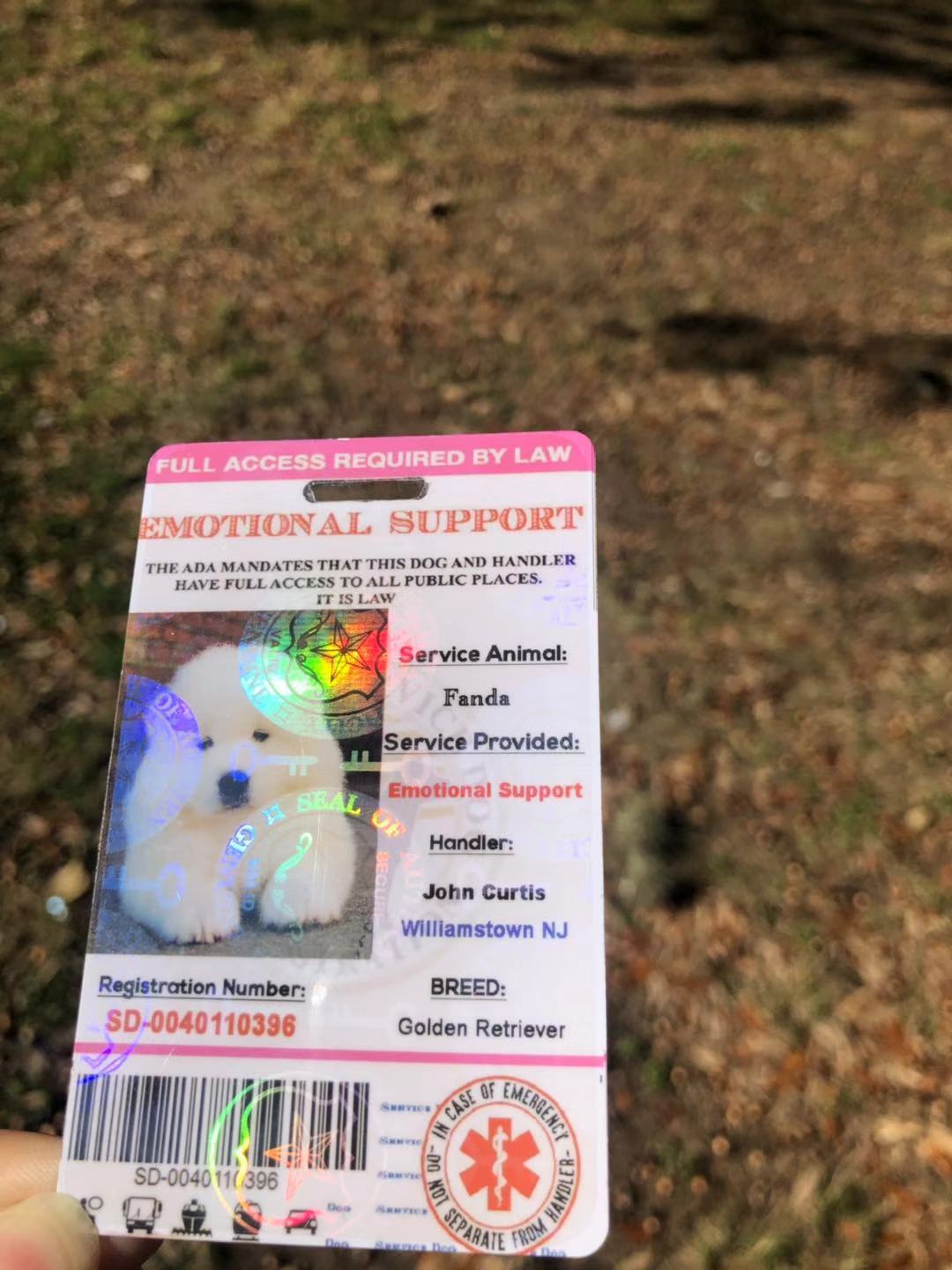 Pink Emotional Support/Service Dog Card ID Holographic Charity ADA ESA Barcode