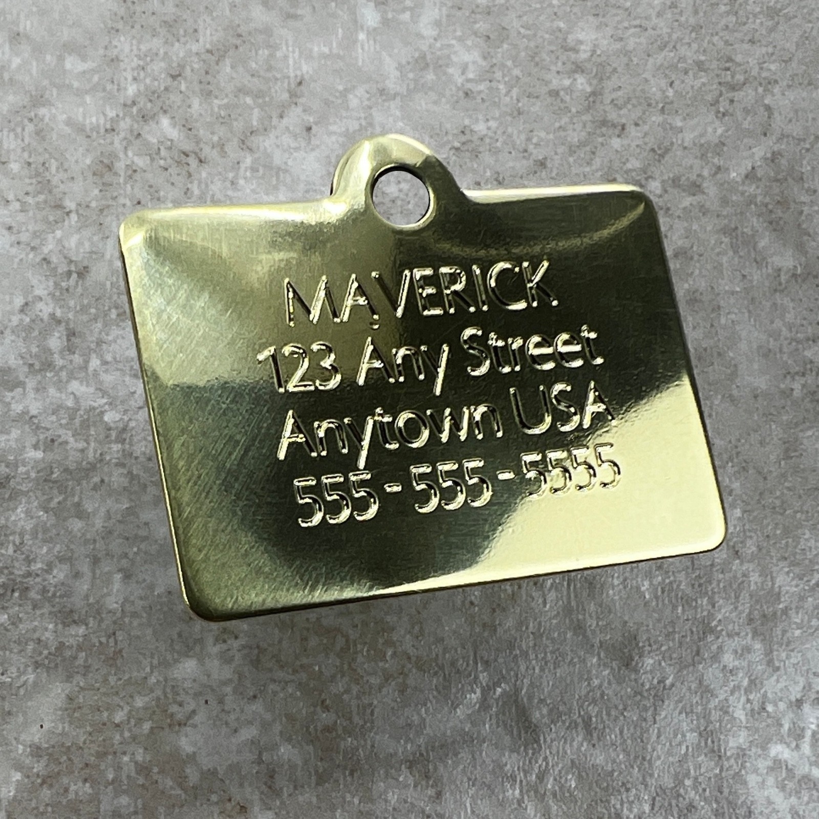 Custom Engraved Dog Tags Personalized Dog Collar Pet Tags BRASS SECRET AGENT