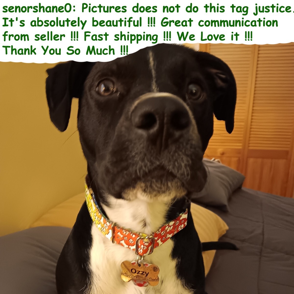 Bone Pet ID Tag – Paw Custom, Stainless Steel, Double-Sided, Paw Design Warranty