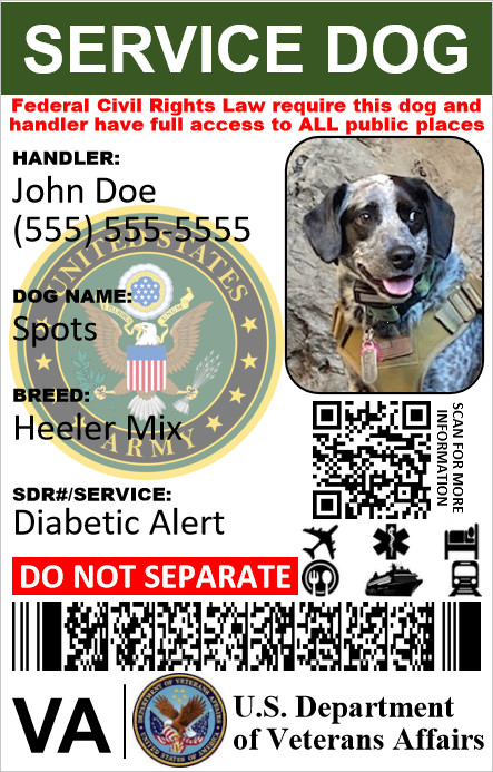 HOLOGRAPHIC VETERAN MILITARY SERVICE DOG ID 1 SIDE ONLY PHYSICAL & DIGITAL