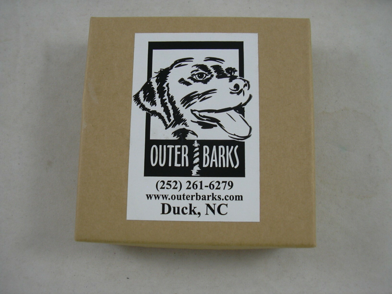 St Francis Pet Medal Prayer 3 Traditional Canine Design Tags Duck NC Unused