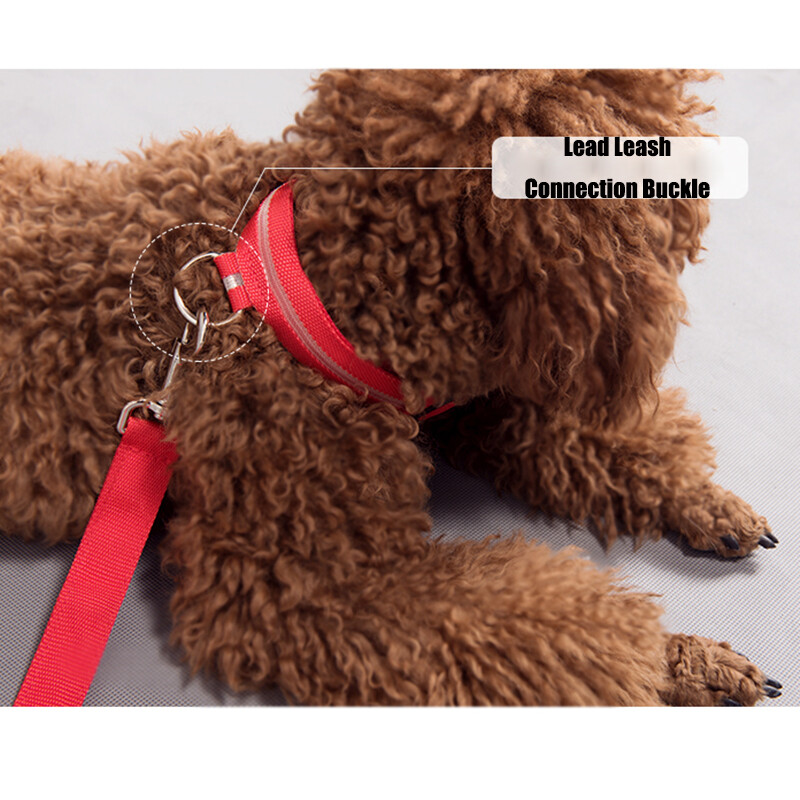 Pet Dog LED Collar Night Flashing With ID Name Tag Custom Engraved Double Side