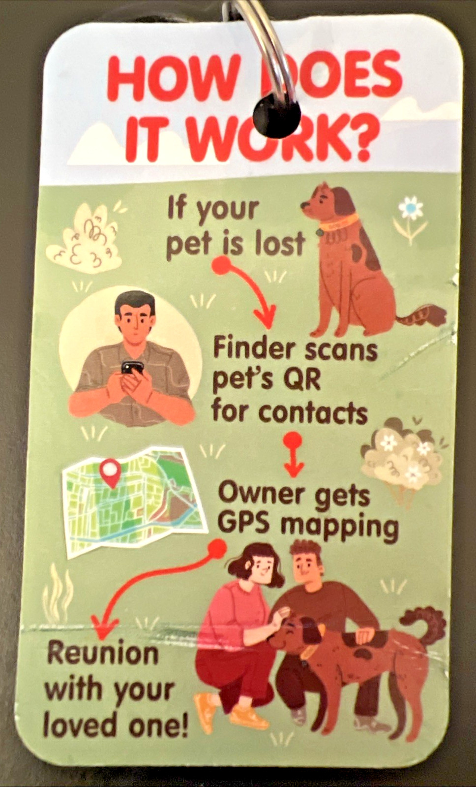Dogline “Oh No, I’m Lost” Pet ID Tag with QR code & GPS Mapping for Dogs & Cats