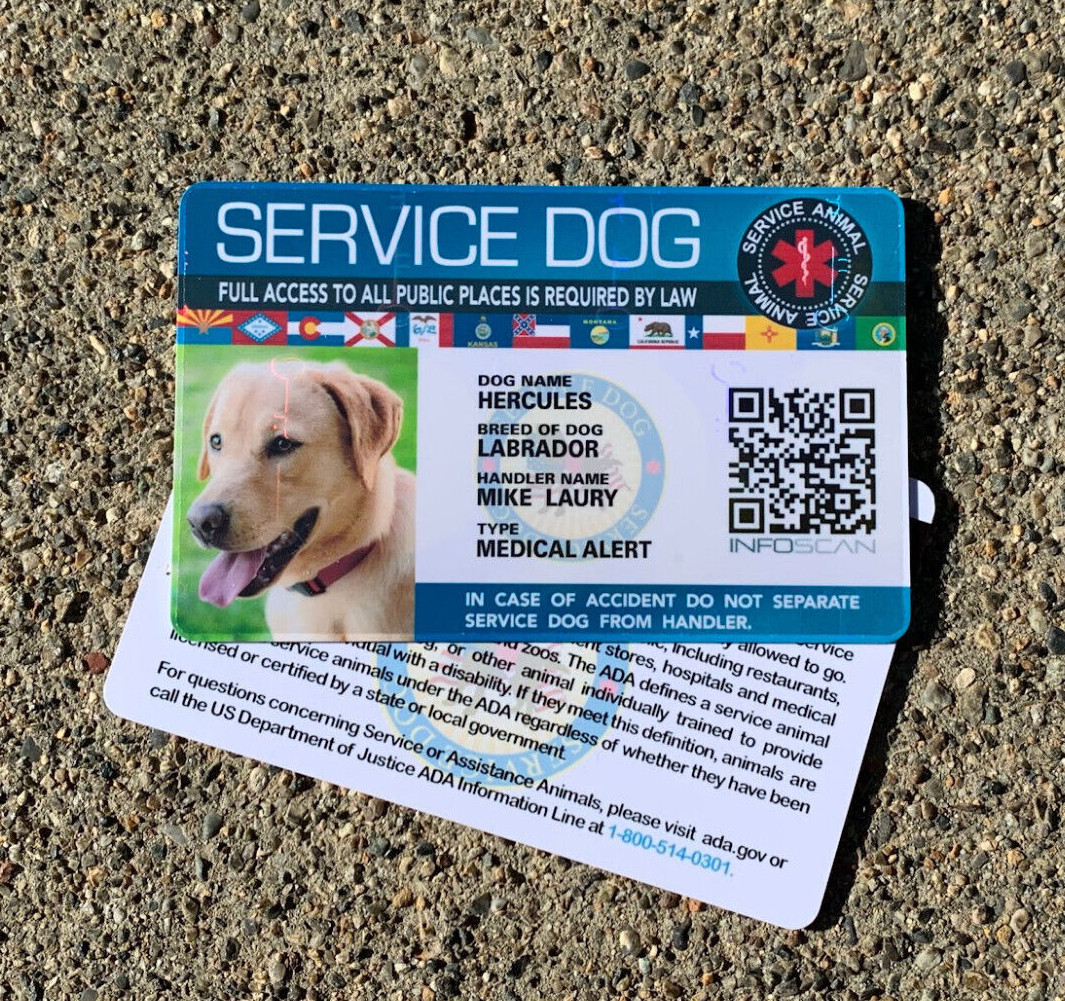 HOLOGRAPHIC SERVICE DOG ID CARD FOR SERVICE MEDICAL EMOTIONAL PTSD ANIMAL