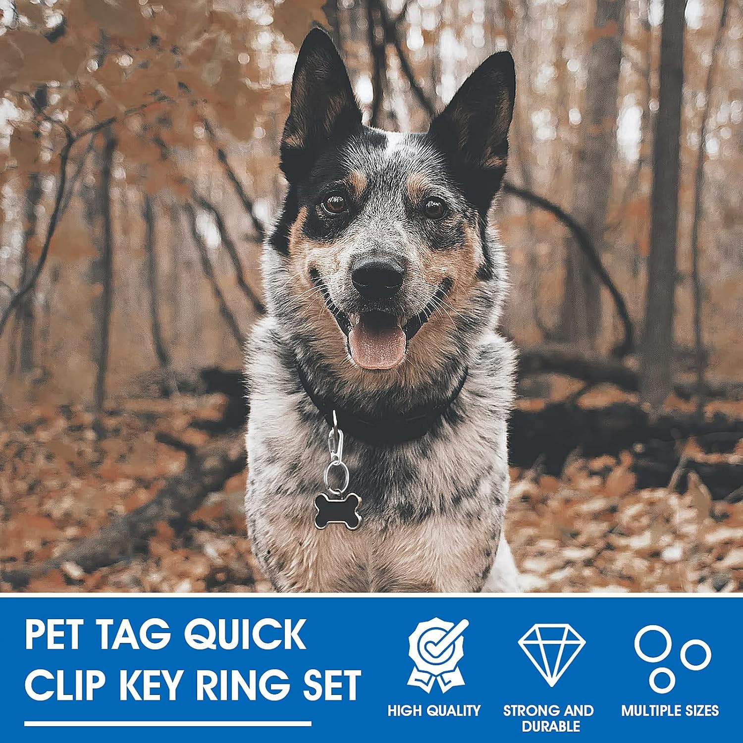 Dog Tag Clips with Rings, 24PCS Heavy Duty Stainless Steel Pet ID Tag Clip Set E
